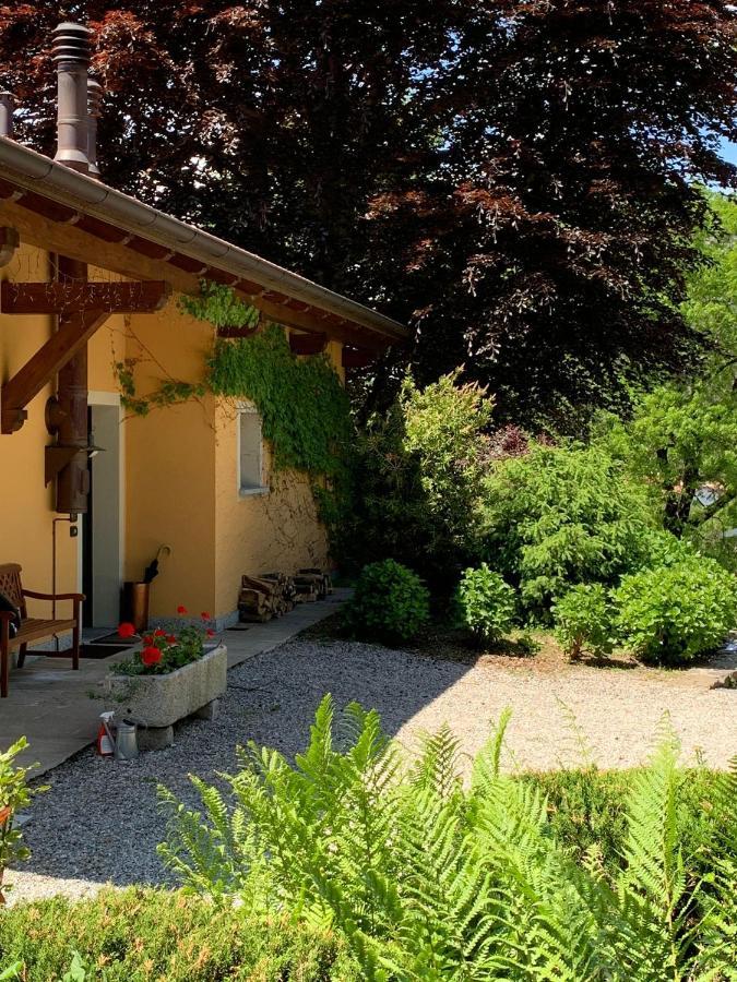 The Comfortable House With Big Pool In The Center Of ميرجوزو المظهر الخارجي الصورة