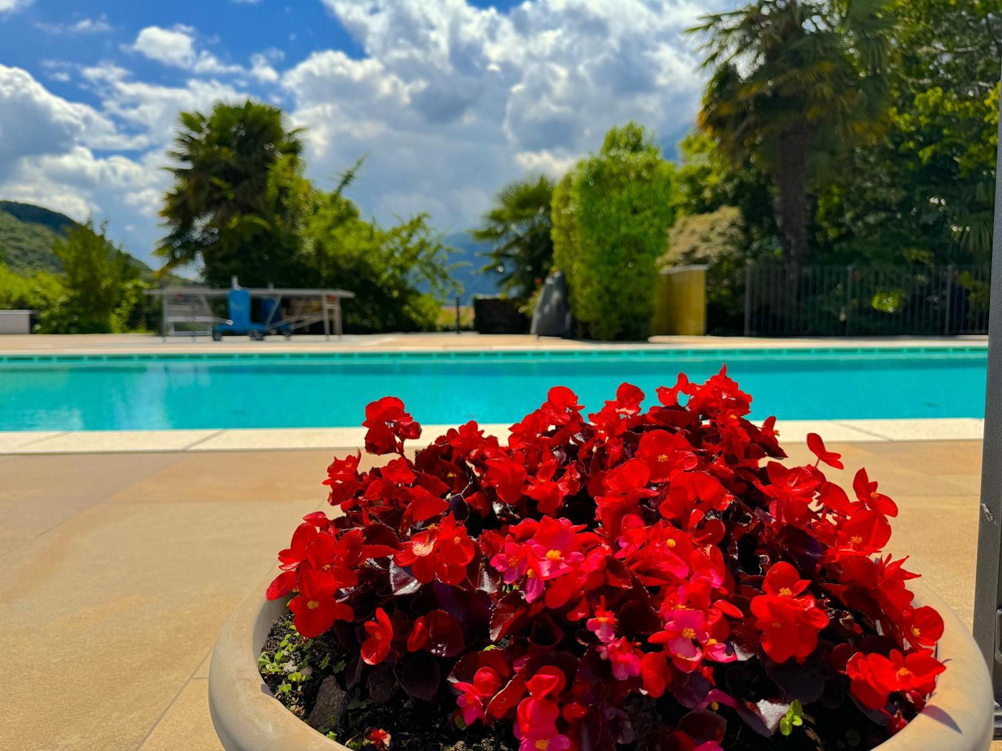 The Comfortable House With Big Pool In The Center Of ميرجوزو المظهر الخارجي الصورة